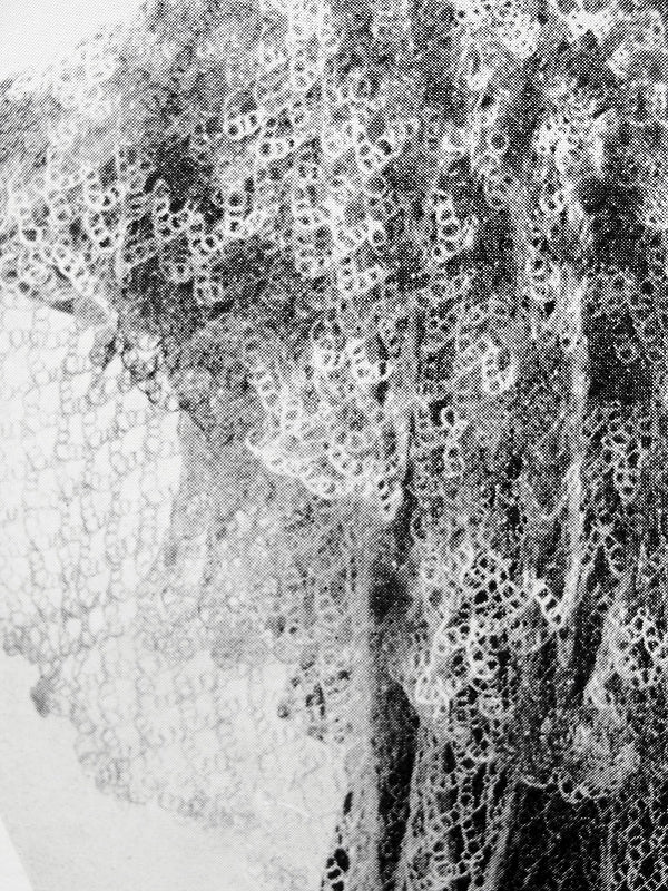 INSTANT PDF PATTERN 1950s Vintage Crochet Pattern Lacey Large 1930s Style Shawl Stole Wrap Scarf Perfect For Day or Evening Wedding