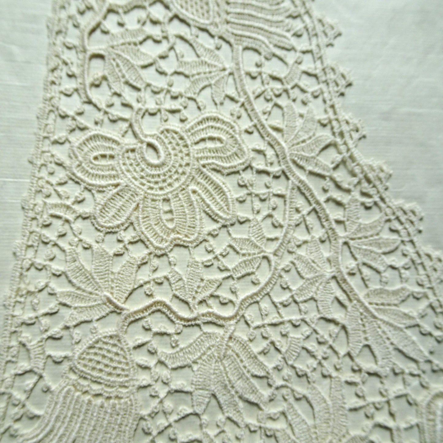 GORGEOUS Antique Lace Collar,Salesman's Sample,On Original Paper With Label,Irish Pattern Lace,Heirloom Sewing or Frame It, Collectible Lace