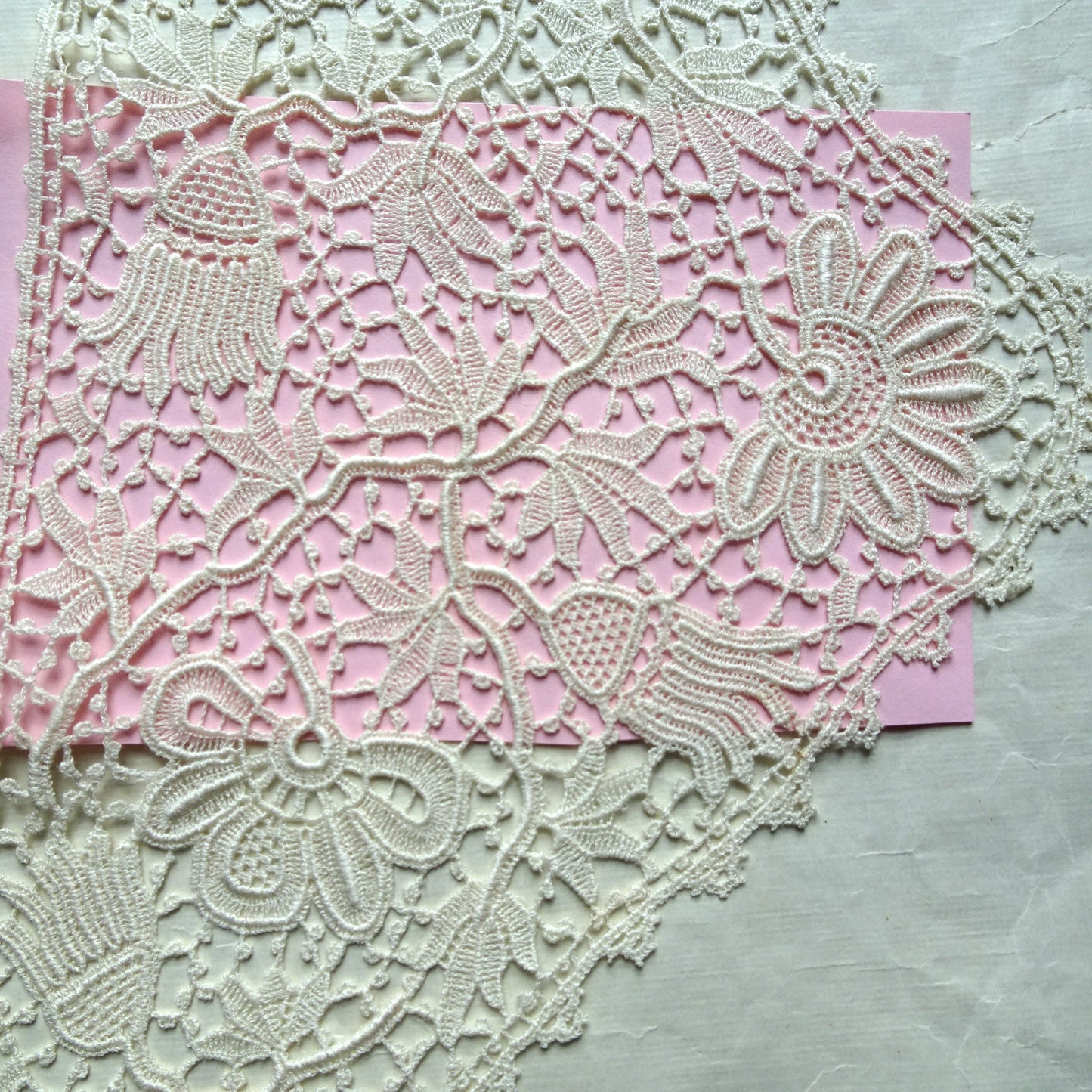 GORGEOUS Antique Lace Collar,Salesman's Sample,On Original Paper With Label,Irish Pattern Lace,Heirloom Sewing or Frame It, Collectible Lace